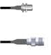 Amphenol Custom Cable Q-2304L000D012i
