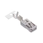 Aptiv (formerly Delphi) 10811289 Enlarged Image