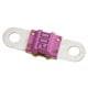 Littelfuse 153.5631.5301