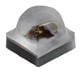 Cree LED XQARED-00-0000-000000Y01